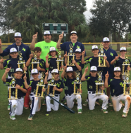 9U_Hammerheads_large